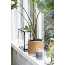 Ib Laursen ALTUM Duftlys, Amber H7 cm x 5,3 cm, Gr